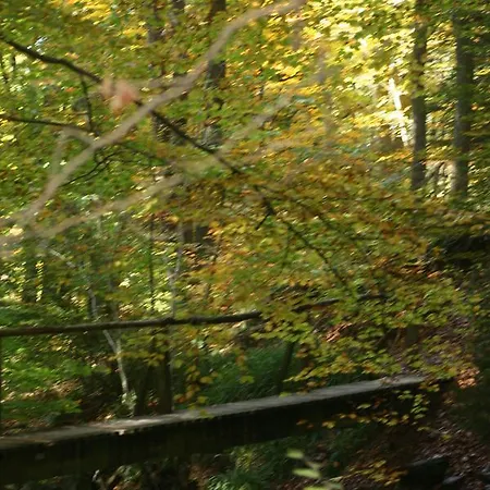 Ferienhaus Les Chanterelles