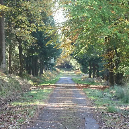 Дом отдыха Les Chanterelles Жале